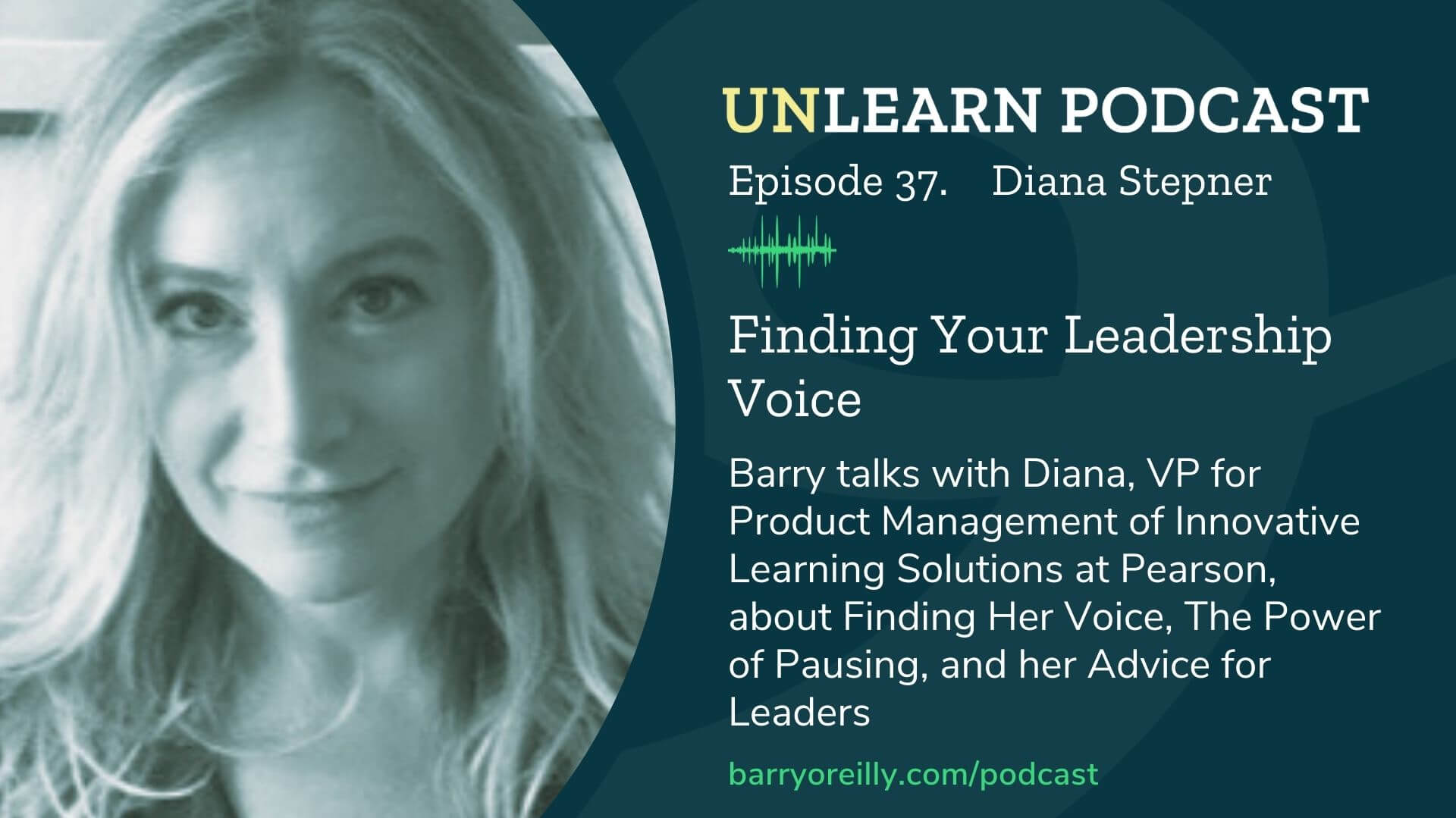 Finding Your Leadership Voice With Diana Stepner Barry O Reilly